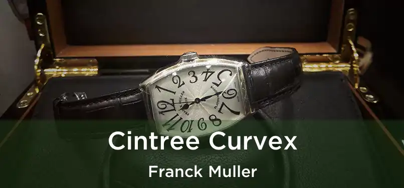  Cintree Curvex Franck Muller